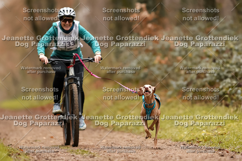 Dog Paparazzi - Speedhunter Mannheim  2025-373 | Dog Paparazzi Jeanette Grottendiek Fotografie & Videografie