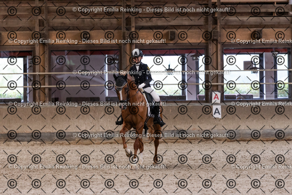 CL5A5253 | Emilia Reinking Fotografie - Realisiert mit Pictrs.com