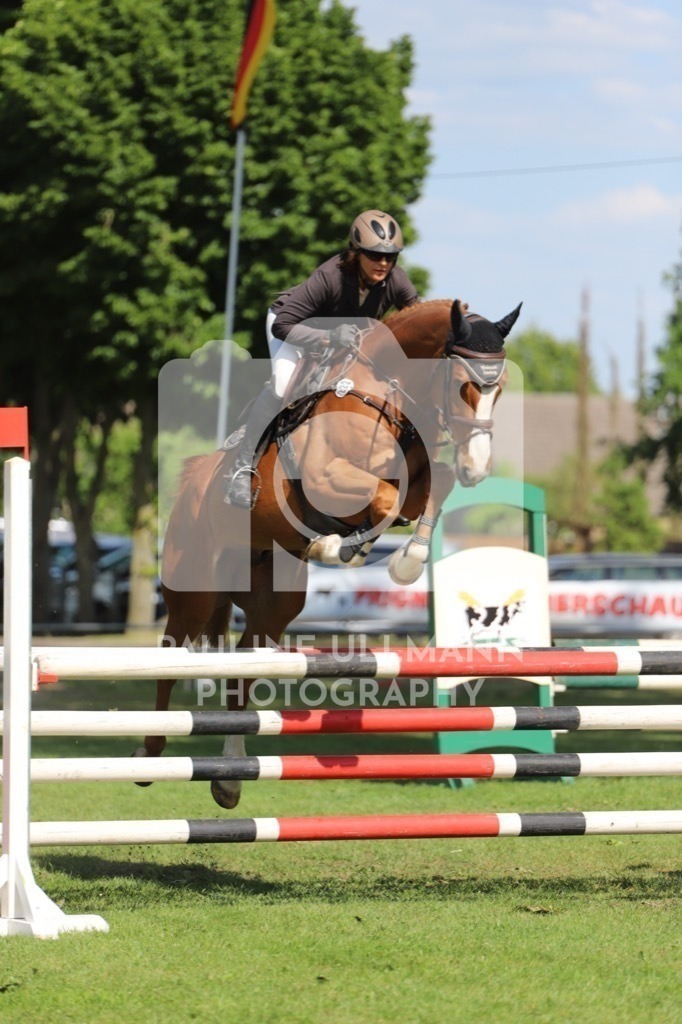 IMG_6590 | Pauline Ullmann Photography - Realisiert mit Pictrs.com