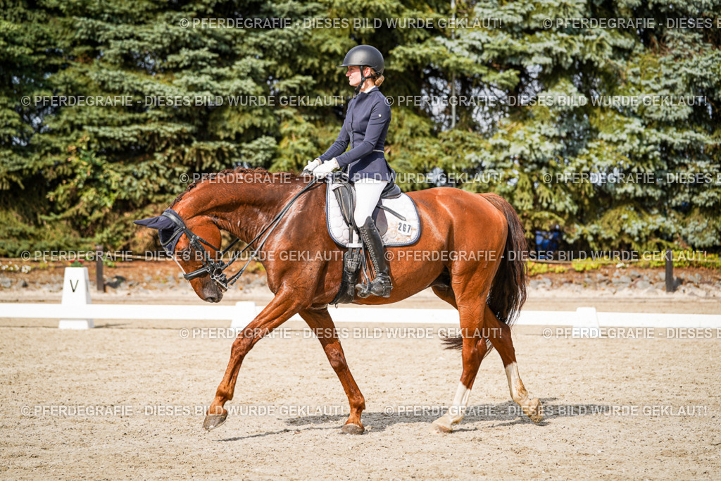 DSC07489 | Pferdegrafie