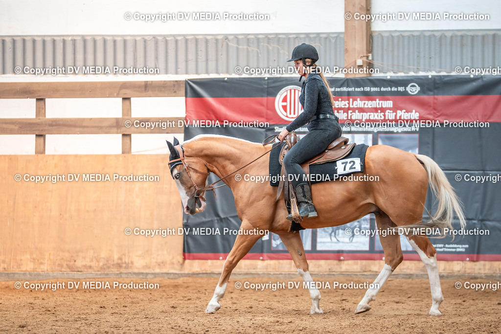 Neckargemünd Tag 2-939 | dv-media-shop - Realisiert mit Pictrs.com