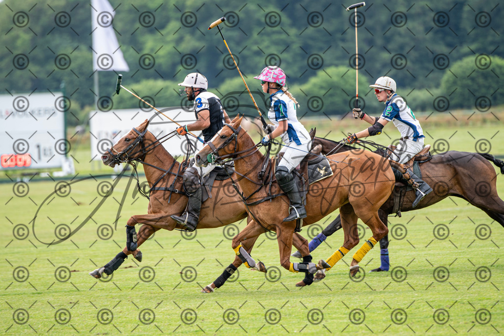 POL_3768 | andre_photographic