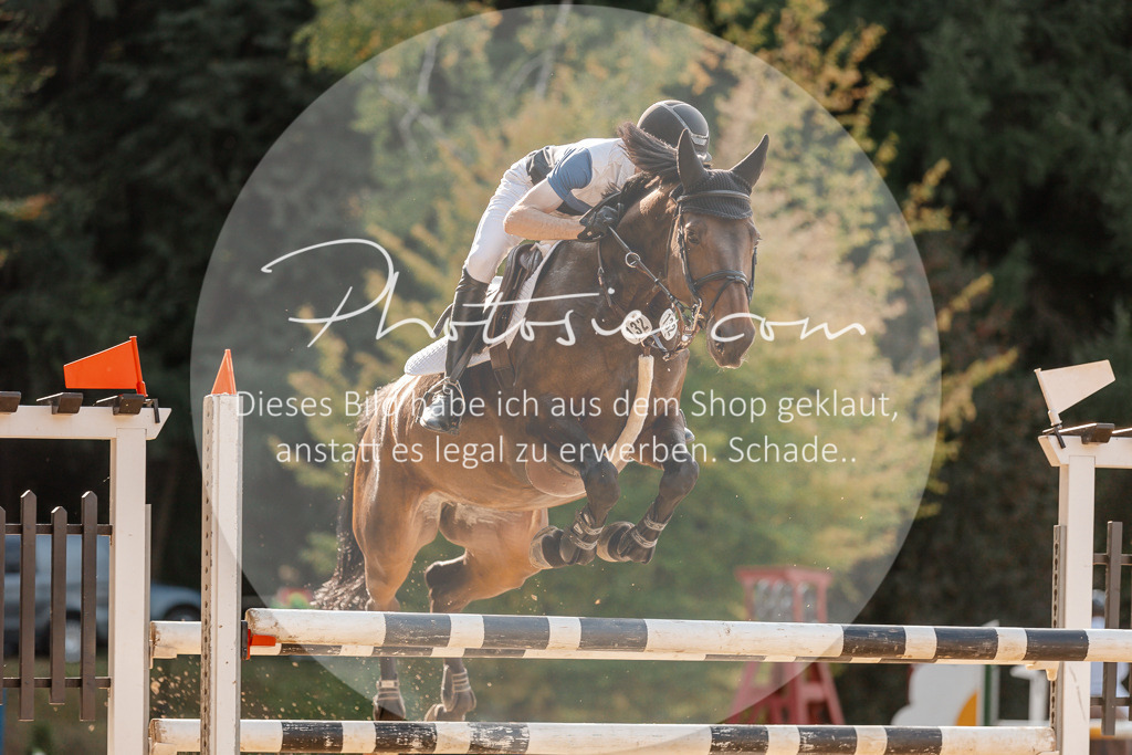 3I6A5133 | Stimmungsvolle Portraits und Reitsportfotografie im Ruhrgebiet und im Münsterland.

Pferdefotografie, Hundefotografie, Tierfotografie, Reportagen, Portraits von Tier und Mensch, Turnierfotografie in Bochum, Recklinghausen, Marl, Haltern am See, Dülmen.. - Realisiert mit Pictrs.com