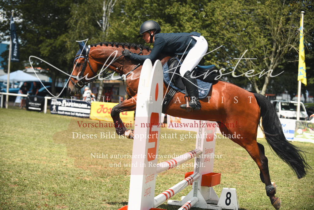 DSC_6463 | Pferde- und Turnierfotografie in Westsachsen. Pferdeportraits, Auftragszeichnungen und intuitive Kunst.
