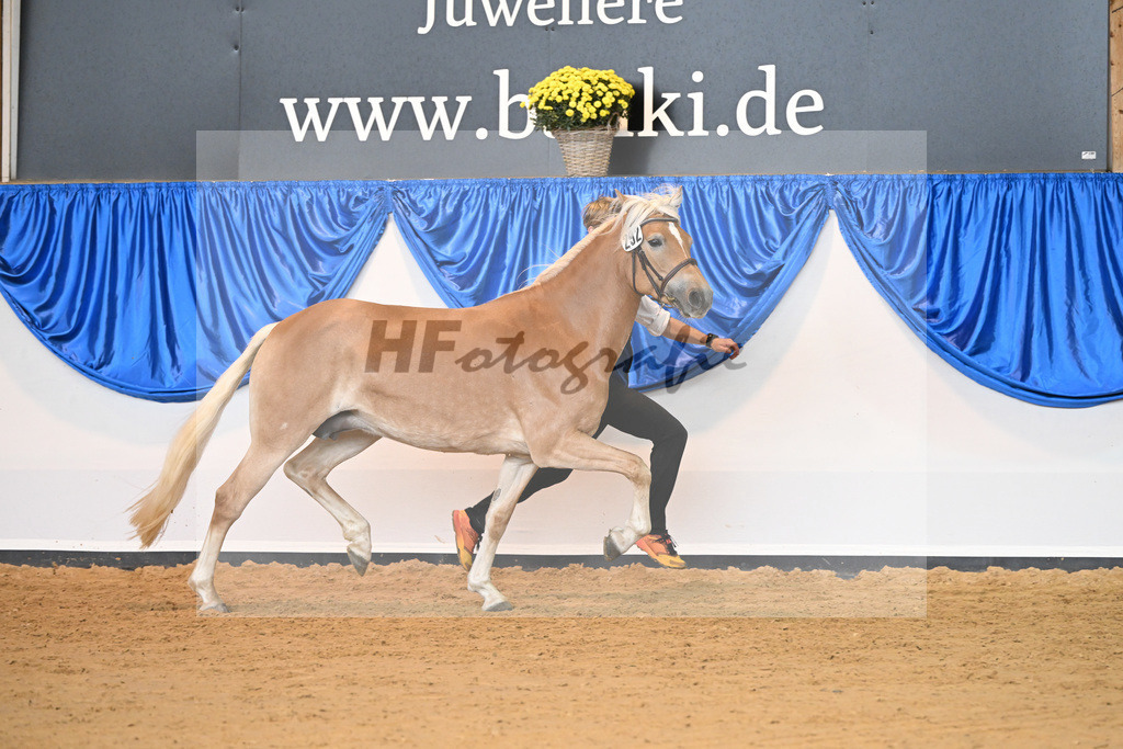 Kat-Nr. 292 Ophelia_Koelbl_54223225 | hf-fotografie - Realizzato con Pictrs.com