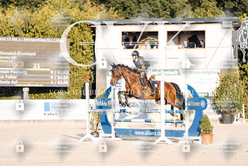 CK900754 | Turnierfotografie Pferdefotografie Trier Rheinland-Pfalz Pferdesport Reitsport Tierfotografie Sportfotografie Pferdevideo Pferdevideografie Equestrianvideography equestrianphotography  - Realisiert mit Pictrs.com