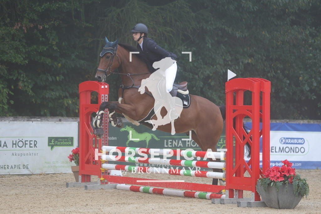 0P6A0320 | Willkommen bei Brunnmayr - Design & Fotografie – Ihrem Spezialisten für Reitturniere und Pferdeveranstaltungen in Oberösterreich, Salzburg und Bayern! Seit über 17 Jahren sind wir leidenschaftlich dabei.