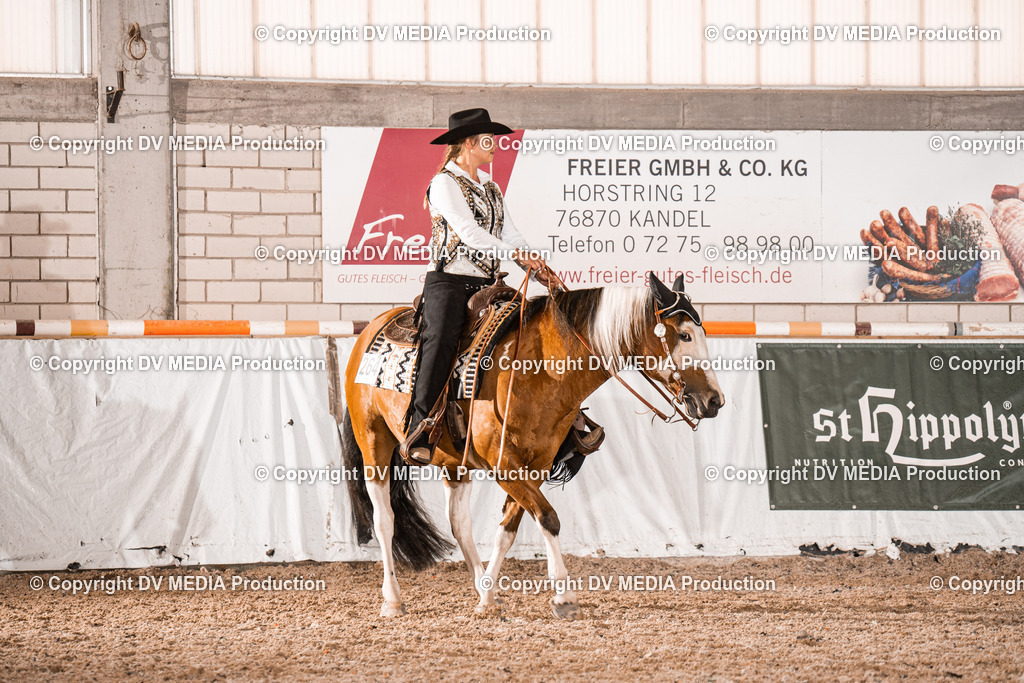 ZH100723 | dv-media-shop - Realisiert mit Pictrs.com