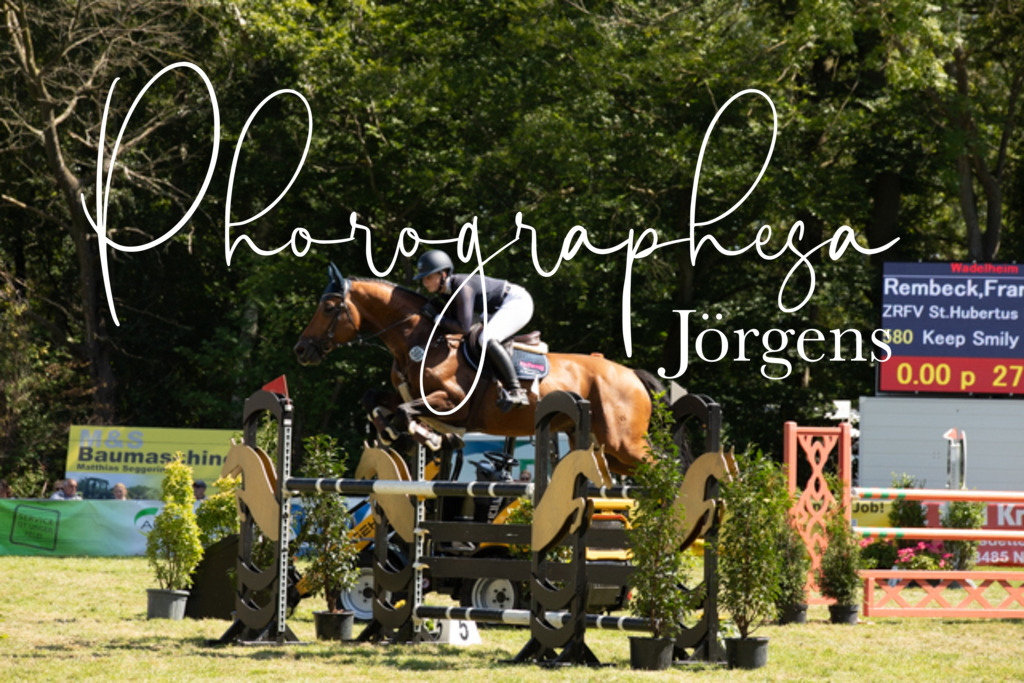 IMG_9104 | photographesa-joergens - Realisiert mit Pictrs.com