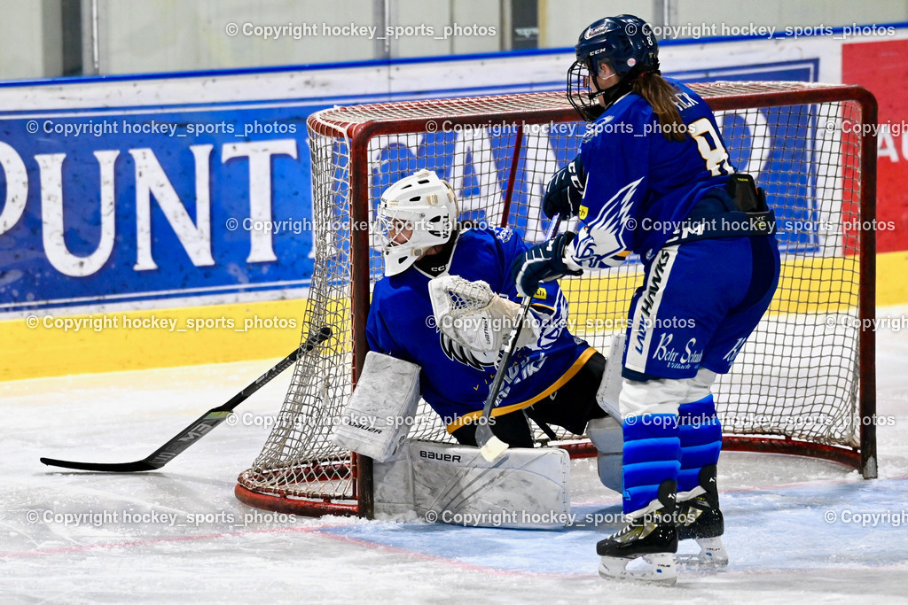 LADY HAWKS vs. WILDCATS PATERNION | #32 Prasser Hannah Sophie LADY HAWKS, #8 Kummer Katja WILDCATS PATERNION, LADY HAWKS vs. WILDCATS PATERNION, LADY HAWKS vs. WILDCATS PATERNION am 12.03.2025 in Steindorf (Ossiachersee Halle), Austria, (Photo by Bernd Stefan)