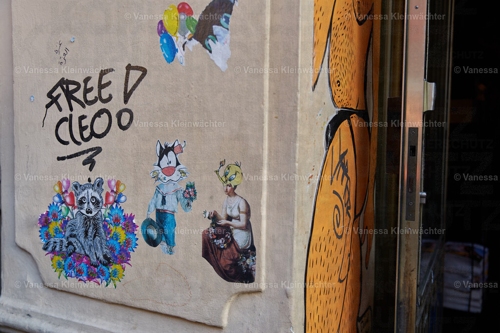 250506_TipsyBearSoli_07 | Vanessa Kleinwächter - Realisiert mit Pictrs.com