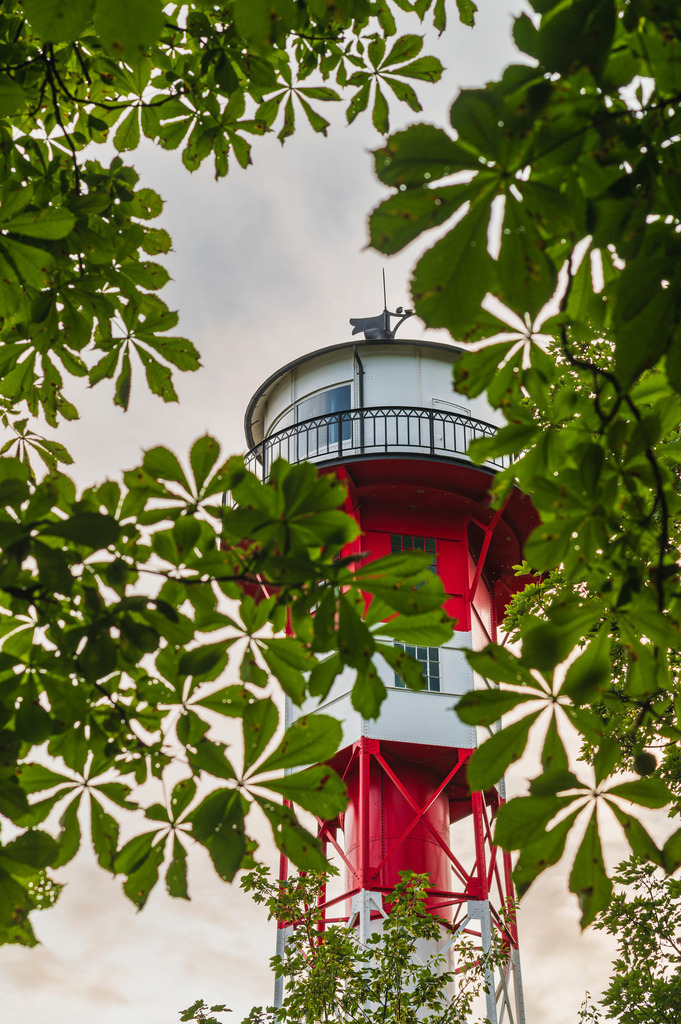 2024_07_25_WEDEL-WITTENBERGEN_MCP1692 | Hochwertig gedruckte Fotografien für die Wand, als Kalender und zum Verschenken. Hamburg & Norddeutschland und überall wo ich mit der Kamera unterwegs war.