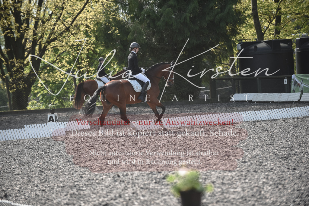 20230513_JK-Röhrsdorf-14-166 | Pferde- und Turnierfotografie in Westsachsen. Pferdeportraits, Auftragszeichnungen und intuitive Kunst.