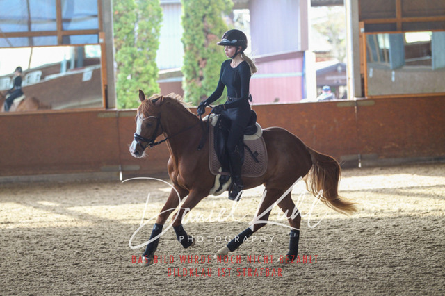 DKP42612 | Turniersportfotografie; Pferdefotografie; Dressurfotografie