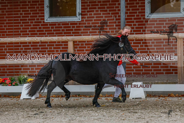 SH (142 von 345) | mandyhollmannphotographie