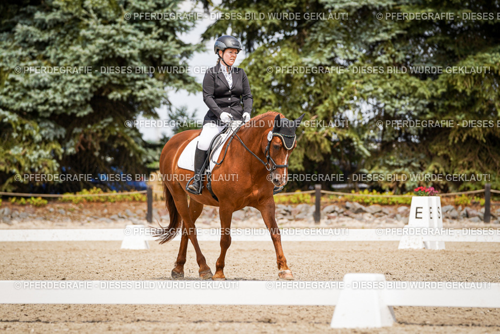 DSC04424 | Pferdegrafie