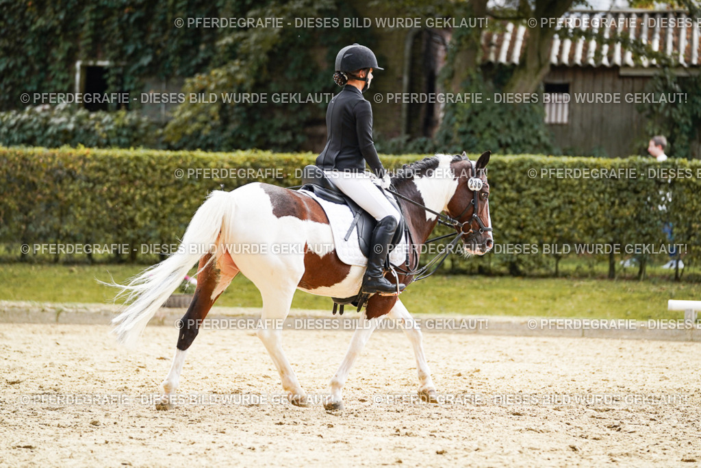 DSC01224 | Pferdegrafie