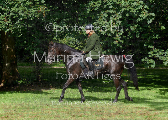 09-23 JAgd PerdölDSC02059_Marina Hewig | Fotografie, FotoArt, PferdesportArt, Pferdesportfotografie, Landschaftsfotografie, Reisefotografie, Reise, Pferde - Realisiert mit Pictrs.com