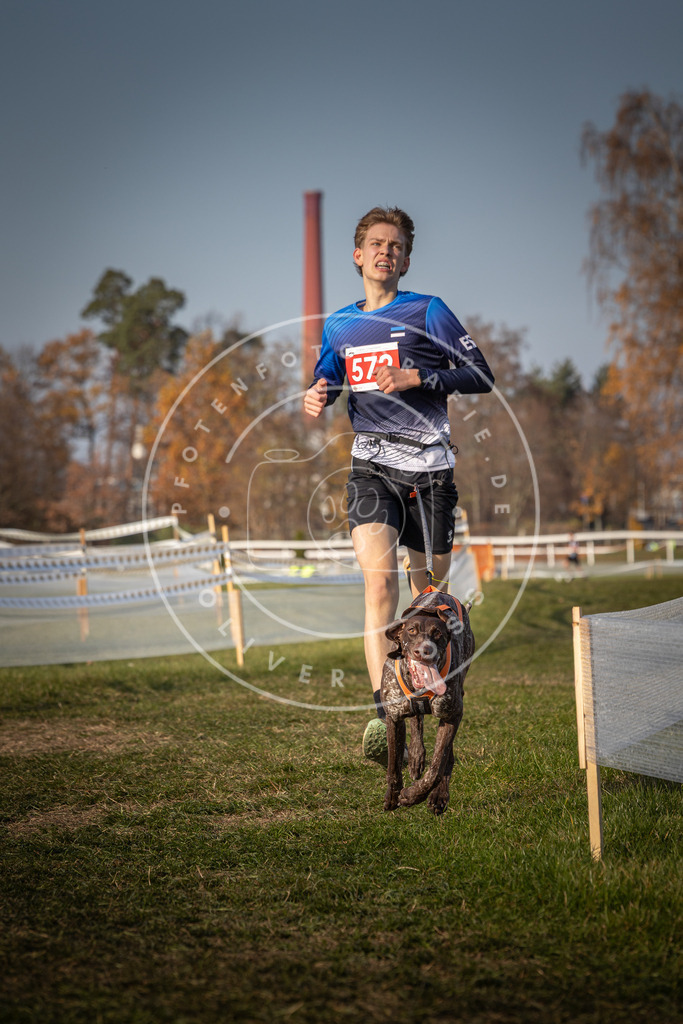 CaniXpix_0L8A9574 | Hundefotografie, Tierfotograf, Pfotenfotografie, Fotoshooting Hund, Hunde Portrait, Hundesport, Hundeportraits, Heideshooting, Hunde, Sportfotograf, Hundefotograf, Turnierhundsport, THS,  - Realisiert mit Pictrs.com