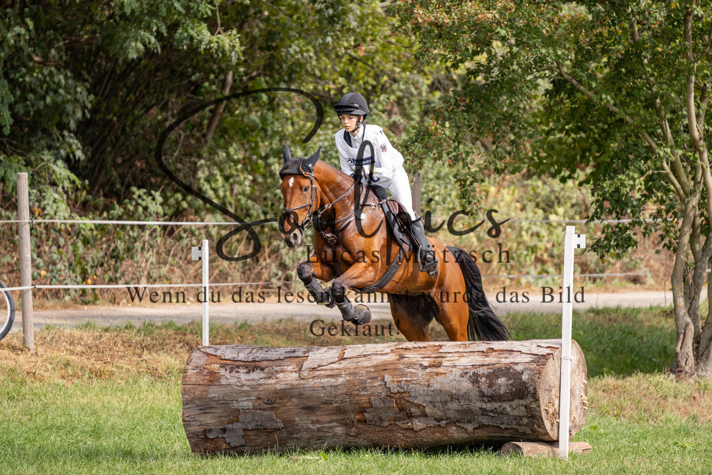 A7V00778 | Pferdefotograf