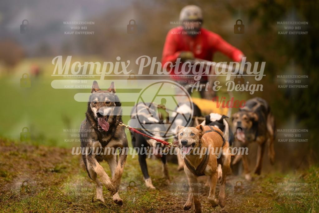 MompixPhotography_2SSTSSBW_2025_SO_Kart-56 | PayLife
