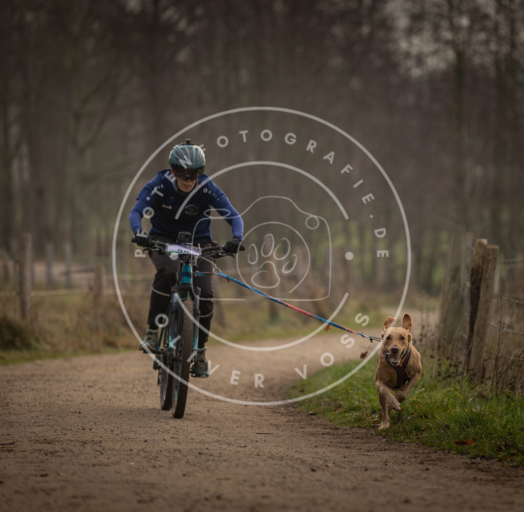 Pfotenfotografie_DV3A1957 | Hundefotografie, Tierfotograf, Pfotenfotografie, Fotoshooting Hund, Hunde Portrait, Hundesport, Hundeportraits, Heideshooting, Hunde, Sportfotograf, Hundefotograf, Turnierhundsport, THS,  - Realisiert mit Pictrs.com
