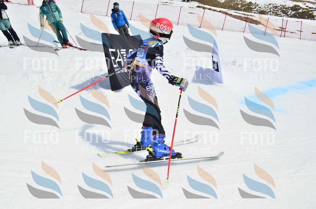 _ELE1873 | holidayphoto