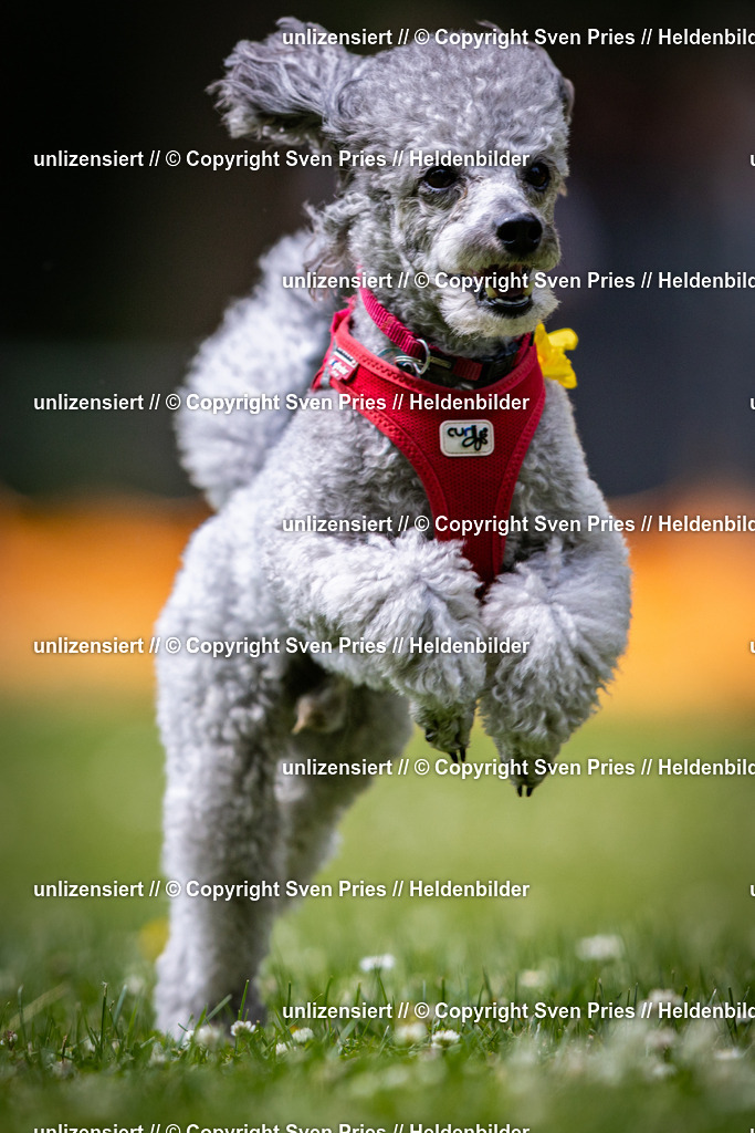 Sven Pries | 2025-05-29 - Pudelrennen KA-Durlach - Realisiert mit Pictrs.com