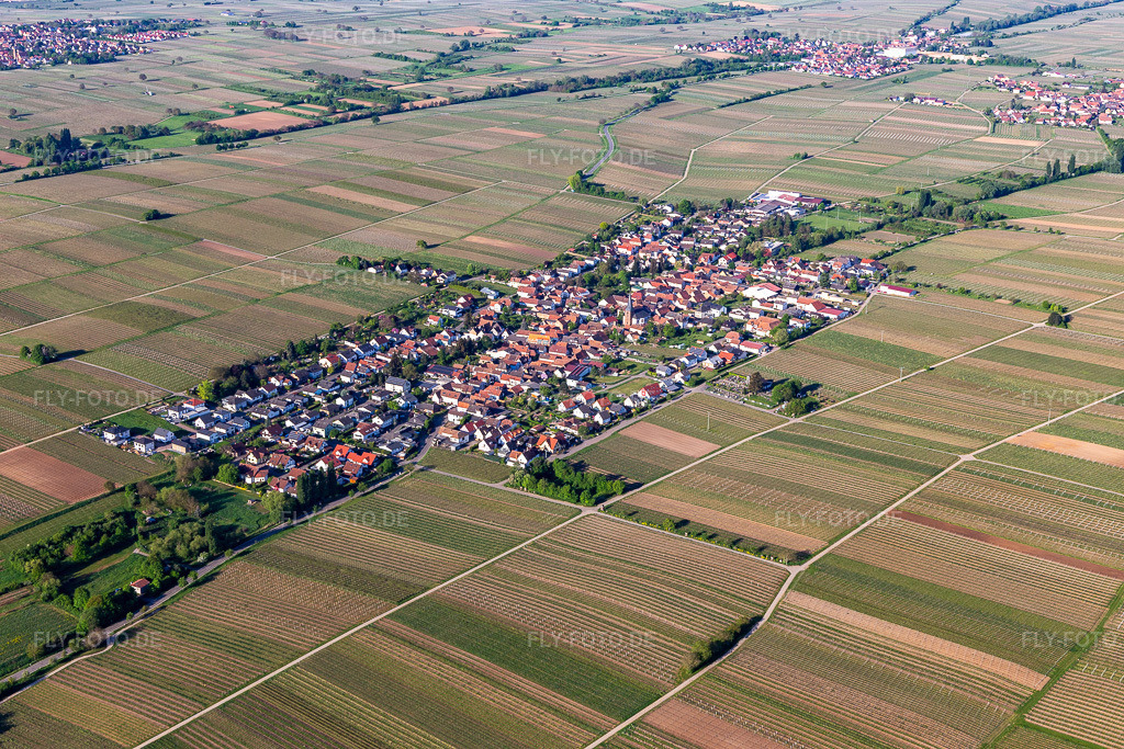 Luftbild:  in Roschbach im Bundesland Rheinland-Pfalz in Deutschland. – Foto: IMG_131318.jpg vom 07.05.2022 durch Werner Riehm/FLY-FOTO.de – Auflösung des Originals: 5472 x 3648 px – Über Roschbach - Rad- und Weinort mit Herz
