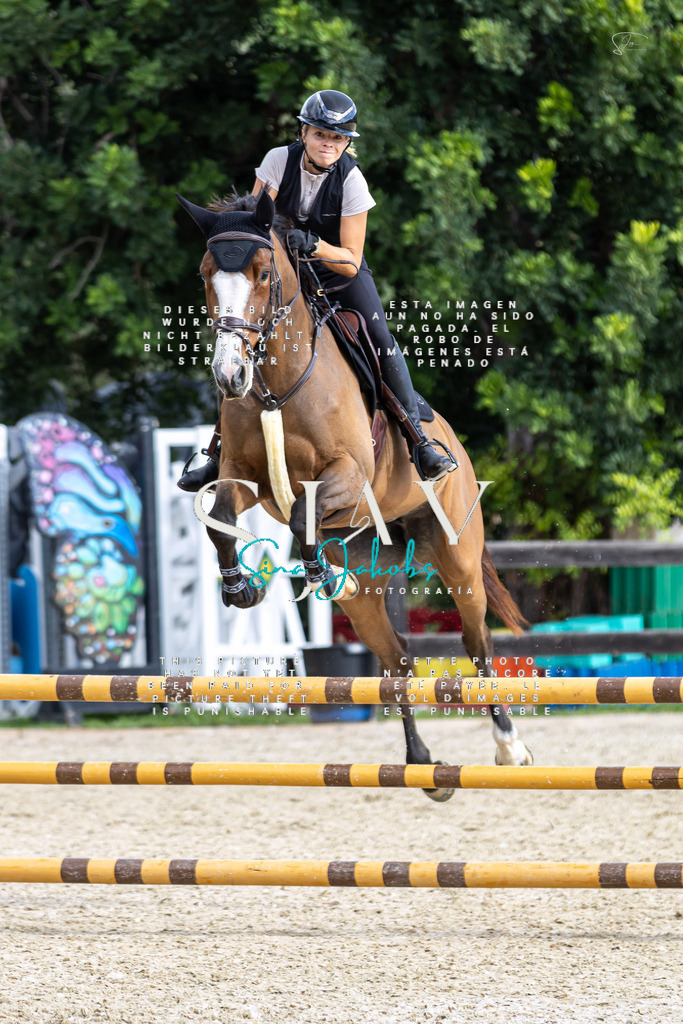 IMG_2886 | s-jay-photography - Realisiert mit Pictrs.com