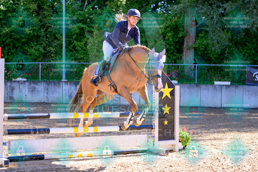 29082026-Giesenbach-Prfg10-0218 | Fokus Hufschlag Fotografie - Realisiert mit Pictrs.com