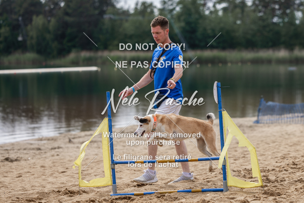 nelerasche_BuHu2026_So1530-Ende_59 | nelerasche