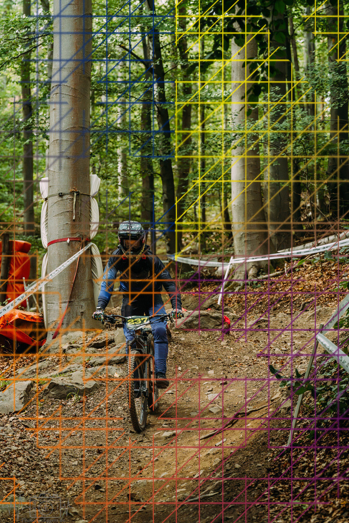 PAE-2131 | Einzigartige Fotokunst für dein Zuhause: Entdecke hochwertige Wandbilder, edle Prints und emotionale Motive von Wildlife, Natur und Landschaften - Realisiert mit Pictrs.com