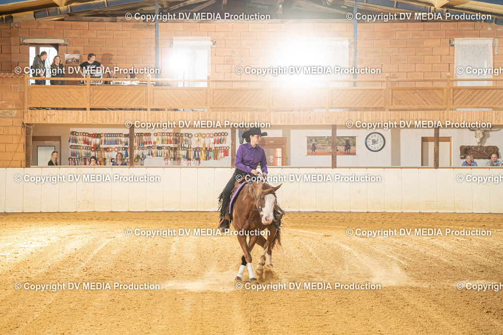 MIT00353 | dv-media-shop - Realisiert mit Pictrs.com