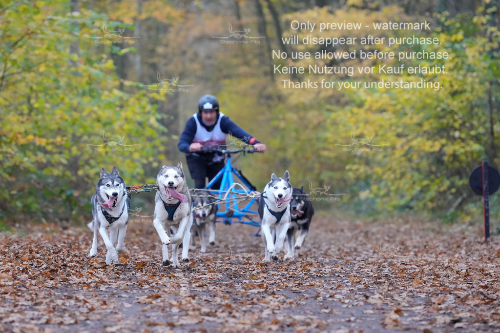 Rigs4bis8So-122 | stephaniefillaphotographie - Realisiert mit Pictrs.com