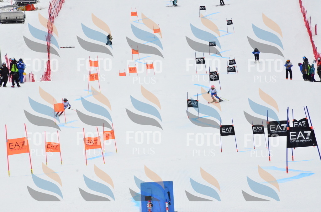 _ELE3591 | holidayphoto