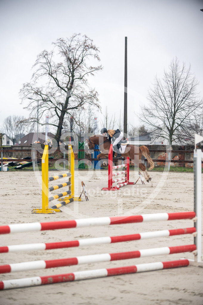 DSC_8315 | sattelsport - Realisiert mit Pictrs.com