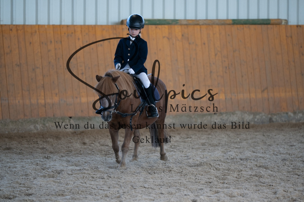 A7V02103 | Turnier/Reitfotograf
