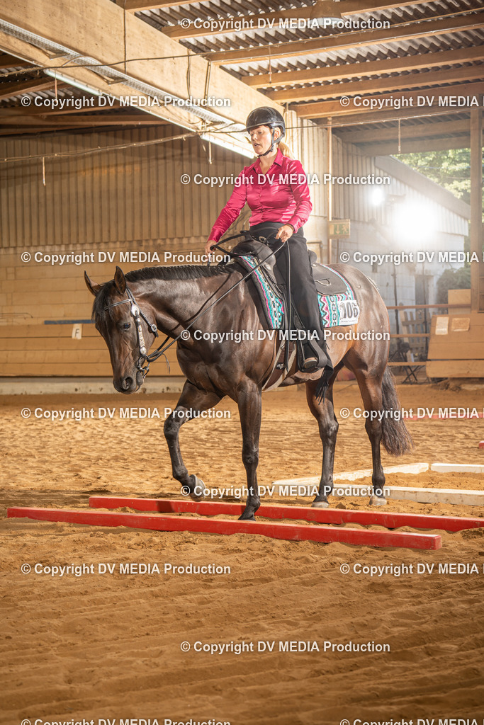 NID02721 | dv-media-shop - Realisiert mit Pictrs.com