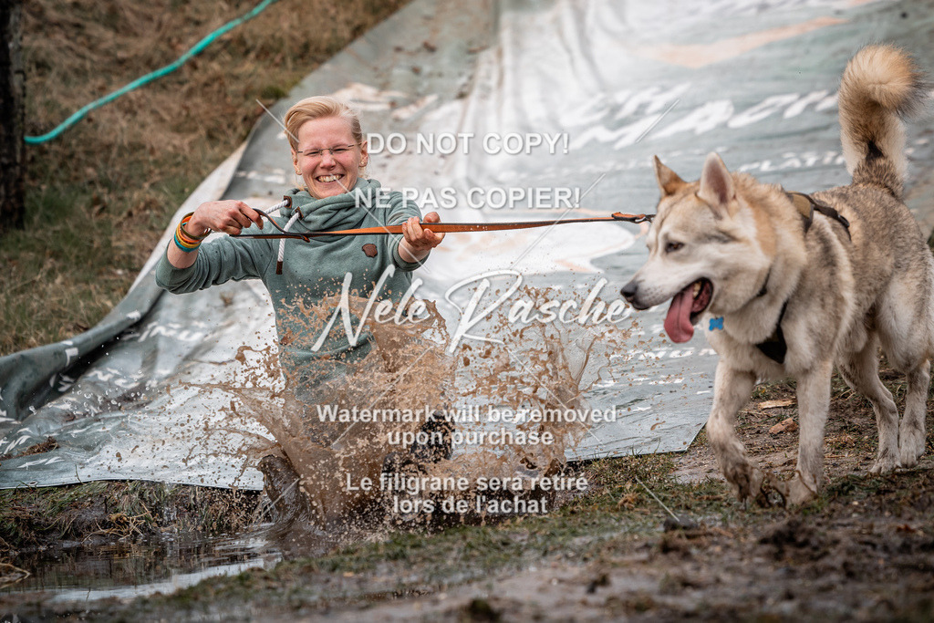 nelerasche_1400-1430_304 | nelerasche