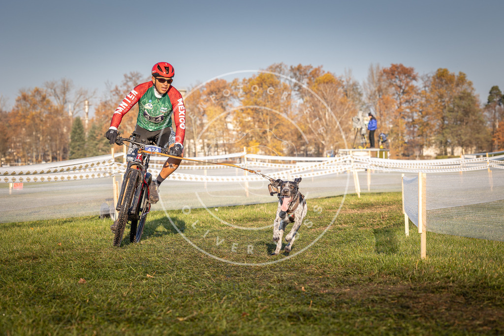 CaniXpix_0L8A4199 | Hundefotografie, Tierfotograf, Pfotenfotografie, Fotoshooting Hund, Hunde Portrait, Hundesport, Hundeportraits, Heideshooting, Hunde, Sportfotograf, Hundefotograf, Turnierhundsport, THS,  - Realisiert mit Pictrs.com