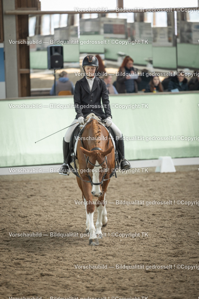 _D5A5561 | Emotionale Pferde- & People-Fotografie rund um Heidelberg, Leimen & Umgebung. Natürliche Fotos von Pferd, Mensch & Familie. Jetzt Termin sichern!