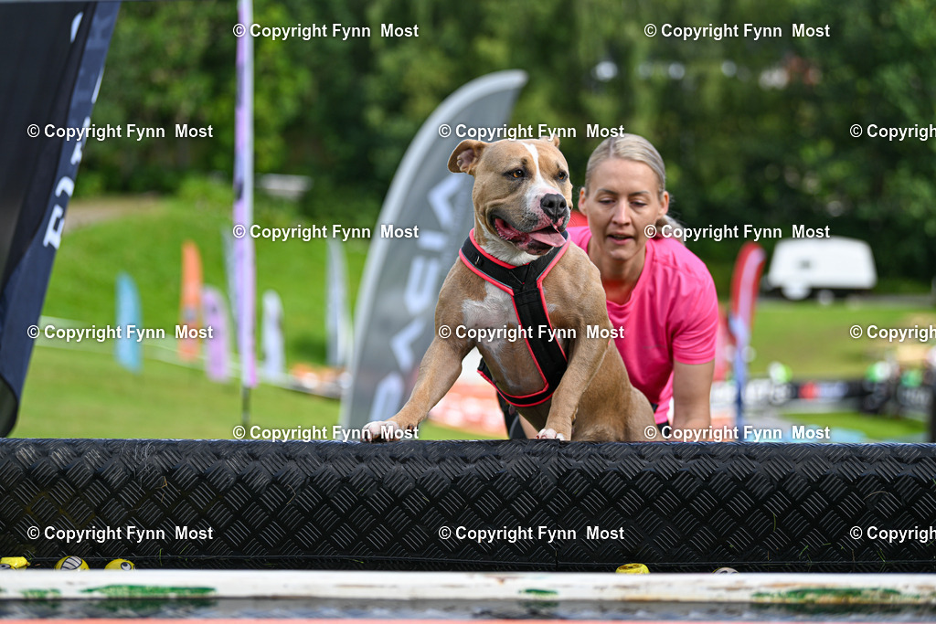 DSC_6039 | Hallo und herzlich Willkommen auf meiner Shop-Seite Fynn Most.

Ich wünsche Dir viel Spaß beim stöbern durch die Bilder, wenn Du Fragen hast oder Bilder vermisst, kannst du mir gerne eine Nachricht schreiben. - Realisiert mit Pictrs.com