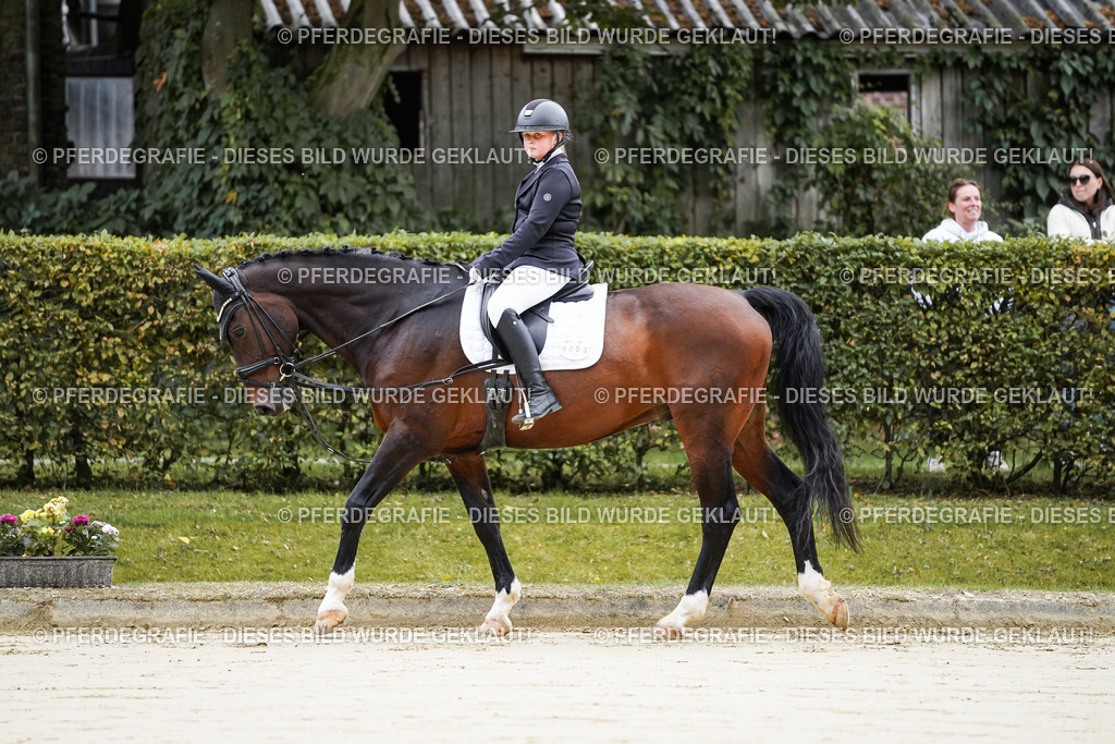 DSC04283 | Pferdegrafie