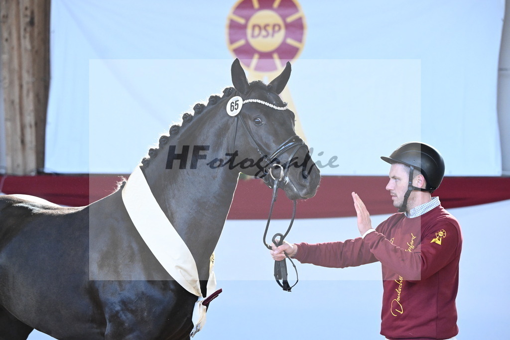 Kat.-Nr. 65 v. Springbank II VH_Reichert_2242865 | hf-fotografie - Realisiert mit Pictrs.com