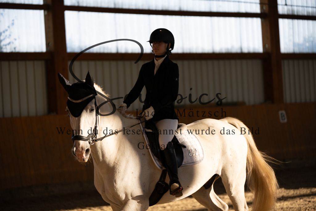 A7V01651 | Turnier/Reitfotograf