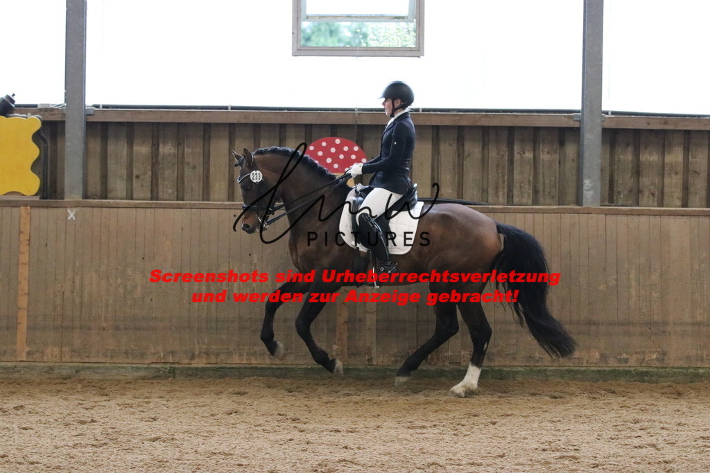 IMG_8972 | lmwpictures - Realisiert mit Pictrs.com