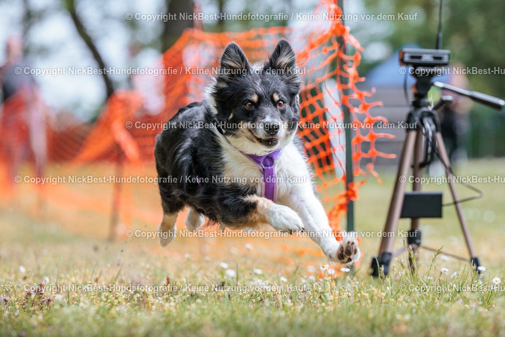 Sage Hunderennen Frühlingsfest-2026-Nickbest-Hundefotografie-0272 | Dein Hund! Dein Moment! Deine Erinnerungen! Hundefotografie in Bremen Blumenthal. Ich fange die besonderen Momente deines Vierbeiners ein – ob Indoor mit Blitzanlage oder in der freien Natur. Sicher dir dein Moment und dein Termin für eure Erinnerungen.