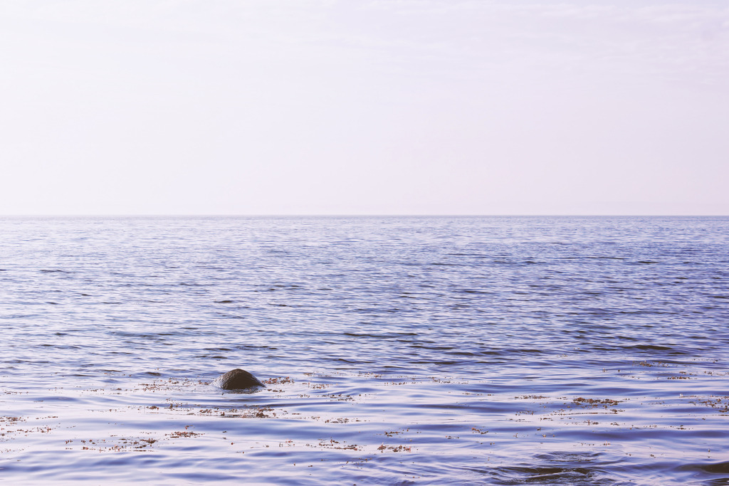 Weiches Licht am Meer – Minimalistisches Meeresbild fürs Wohnzimmer | Dieses maritime Wandbild zeigt die stille Weite des Meeres, durchbrochen von einem einzelnen Felsen, der ruhig aus der Wasseroberfläche ragt. Die sanften Wellen und der zarte Himmel verleihen dem Motiv eine meditative, klare Atmosphäre.Perfekt für ein Wohnzimmer, das Ruhe, Eleganz und eine dezente maritime Note ausstrahlen soll. Das Bild öffnet den Raum optisch und bringt die beruhigende Präsenz des Meeres stilvoll an die Wand.