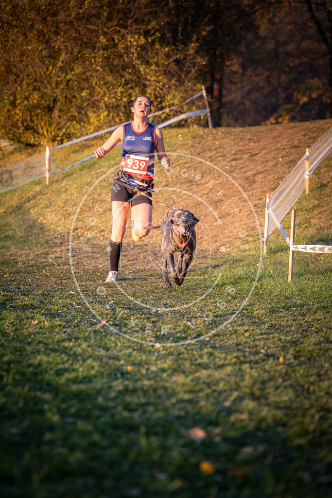 CaniXpix_0L8A1862 | Hundefotografie, Tierfotograf, Pfotenfotografie, Fotoshooting Hund, Hunde Portrait, Hundesport, Hundeportraits, Heideshooting, Hunde, Sportfotograf, Hundefotograf, Turnierhundsport, THS,  - Realisiert mit Pictrs.com